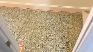 Water Damage Carpet Repair!!!!