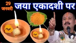 29 जनवरी जया एकादशी पर 1 चुटकी हल्दी बाला उपाय जरूर करें इतना पैसा आएगा कि Pradeep Mishra Ji Upay