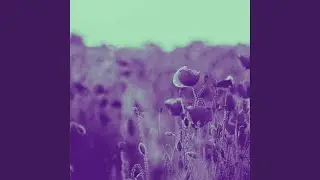 Hip Bossa Nova Guitars and Jazz Organ - Vibe for Settling Back Sunday