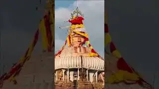 mahaprabhu community is live from puri