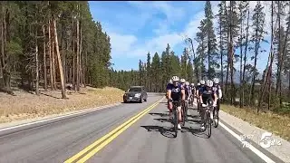 SHIELD616 support team