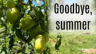 End of summer garden tour
