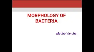MORPHOLOGY OF BACTERIA/ BACTERIAL CELL STRUCTURE