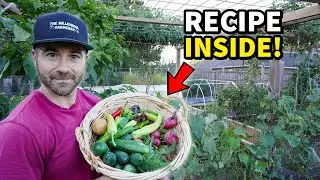 How To Make The BEST Pickles Fresh From Your Garden!