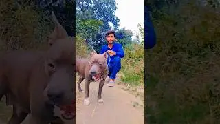 #video रंगदारी सांग। Name Ragdar Me #Tuntun Yadav #Bhojpuri Song 2025