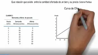 CURVA DE OFERTA  Paso a Paso para PRINCIPIANTES