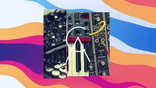 Synth Loops Vol. II | Free Sample Pack