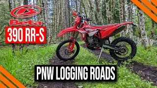 Beta 390 RR-S | Exploring NW Oregon Logging Roads