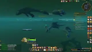 Lore Master [Eastern Kingdoms] - Wetland