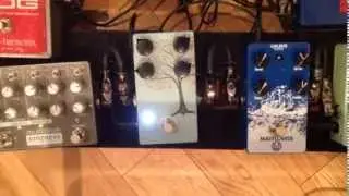 Chris Wrate of Ariana Grande rocking his Mercy Seat Effects Tree of Life overdrive gutiar pedal