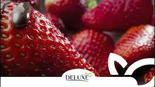 Deluxe IQF frozen Strawberry from Egypt