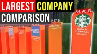 Largest Company Size Comparison