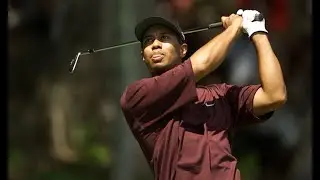 Golf Rumors Conspiracy Theory ( Proceed With Caution )