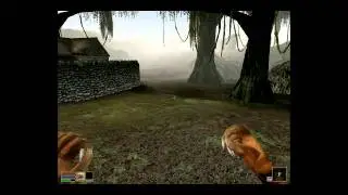 Morrowind Mods Commonwinds