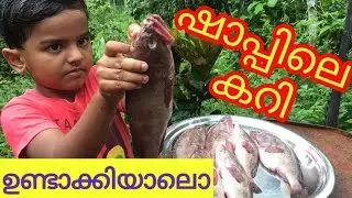 Shappile curry, nadan fish curry malayalam| toddy shop style fish curry recipe | village kitchen YT