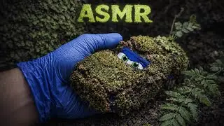 This Toy Car Was Completely Covered in Moss&hellip; | ASMR Cleaning 