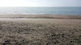 Fregene sea