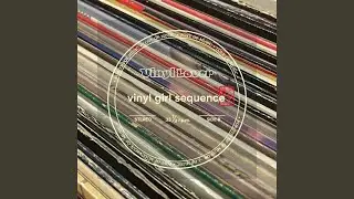 Vinyl Lover