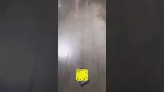 PROTECTION PRO ضمان كسر أو تغير الون استيكر امريكي