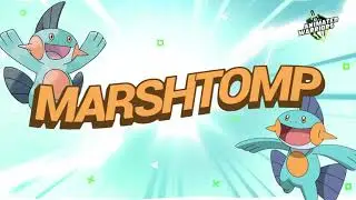 Marshtomp: The Mud Fish Pok&eacute;mon's Aquatic Vigor!