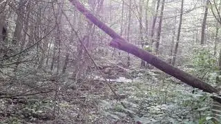 Ravensburg State Park, PA