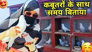 Aaj Kabutaro Ke Sath Itna Sukoon Mila 🕊️ | Peaceful Nature Vlog | Daily Life Long Vlog #vlogger