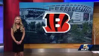 Bengals release veteran punter Kevin Huber