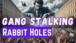 Targeted Individuals Rabbit Holes. Gang Stalking Disinformation Campaign
