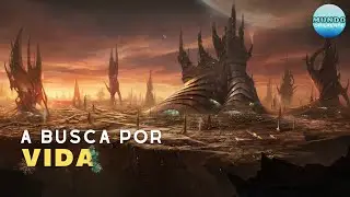 A Busca Por VIDA no Universo! (Por onde Come&ccedil;ar, S&atilde;o intelig&iacute;veis, Emitem Sinais, Como se Parecem?)