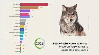 Rośnie liczba wilk&oacute;w w Polsce
