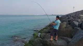 kingfish strike by sir Ronel ngiting tagumpay sya//EP-011/Abu Dhabi shore casting