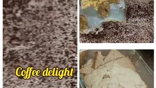 Coffee Delight | Simple and Easy Dessert