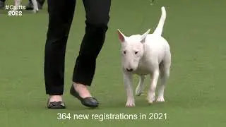 The 'At Watch' List, 2021 Registrations