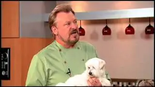 Responsible Pet Parenting; Ingredients for Better Health