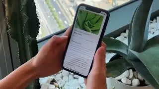 PlantApp - Plant Identification 51