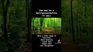 Multipotentialite&rsquo;s Rise!