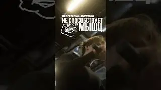 Прогрессия нагрузок и рост мышц. Тгк: new_esthetic