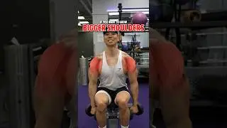 Build BIGGER Well-Rounded Shoulders (DO THESE!)