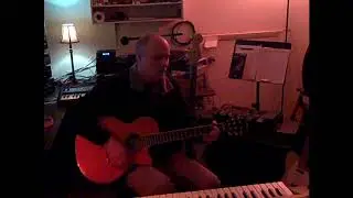 blackbird  - haven mcinerney