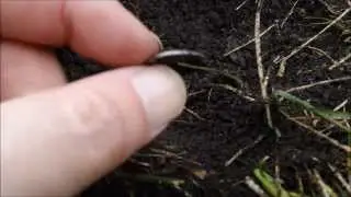 Always Seeking Silver Video #47 - Silver, Silver, Seated (with Arrows!!)