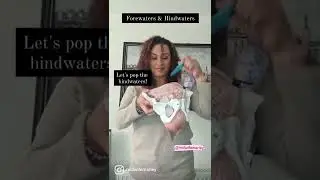 Forewaters & hindwaters leaking/rupturing before labour and birth