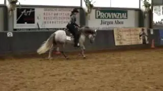 Reining LK 4 Wrr Westernriding Deutschland