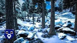 ARK - Hide and Seek