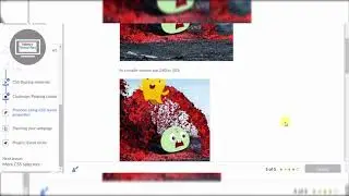 CSS Layout Properties Practice
