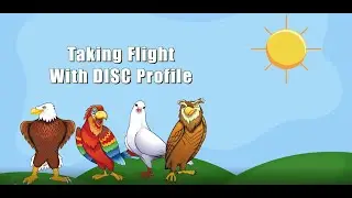 Taking Flight With DISC Profile
