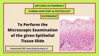 Practical : To perform the microscopic examination of the given epithelial tissue slide | D.Pharma