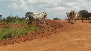 Domingo no paraiso das aguas Felixlândia MG.