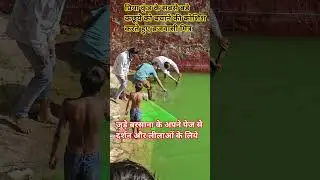 Priya Kund Barsana | Save Turtles 🐢 #officialbarsana #barsana #viralvideo