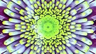 markyno - My Life (original Mix) - Sunchild Records