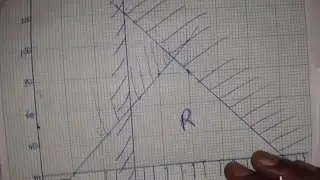 Linear Programming G12 ECZ